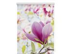 Seitenzugrollo LICHTBLICK ORIGINAL "Klemmfix Motiv Magnolie" Gr. 6, rosa (rosa, weiß), B:100cm H:150cm, Polyester, Rollos, Seitenzugrollo, bedruckt