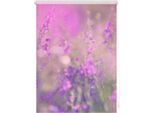 Seitenzugrollo LICHTBLICK ORIGINAL "Klemmfix Motiv Blumenwiese" Gr. 4, lila (violett, weiß), B:80cm H:150cm, Polyester, Rollos, Seitenzugrollo, bedruckt