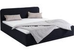 Polsterbett, schwarz, B:170cm L:210cm, Bezug Bett: wahlweise Microfaser (100% Polyester), Strukturstoff (77% Polyester, 23% Viskose) oder Kunstleder;Bonnell-Federkernmatratze: Mischgewebe (51% Polyprophlen, 39% Polyester, 10% Baumwolle);Kaltschaummatratze: Frottee (100% Polyester), Bezug abnehm- und waschbar bis 60C, WESTFALIA SCHLAFKOMFORT, Betten, Polsterbett, inkl. Bettkasten bei Ausführung mit