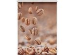 Seitenzugrollo LICHTBLICK ORIGINAL "Rollo Klemmfix, ohne Bohren, blickdicht, Kaffee - Braun", braun (braun, weiß), B:70cm H:150cm, Polyester, Rollos, Seitenzugrollo
