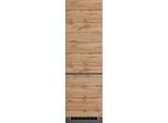 Kühlumbauschrank KOCHSTATION "KS-Riesa", braun (wotaneiche), B:60cm H:200cm T:60cm, Holzwerkstoff, Schränke, Kühlumbauschrank, Breite 60 cm, MDF-Fronten