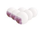 Frühstücksteller VILLEROY & BOCH "Frühstücksteller Coupe Rose Garden ø 21,2 cm 6er Set bunt", bunt, Speiseteller, Frühstücksteller