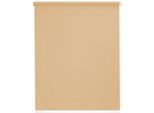 Seitenzugrollo SUNLINES "Youngstyle Uni", beige (sand, weiß), B:182cm H:180cm, Aluminium, Kunststoff, Polyester, Rollos, Seitenzugrollo
