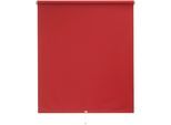Springrollo SUNLINES "Uni" Gr. 7, rot, B:182cm H:180cm, Polyester, Rollos, Springrollo, 1 Stück