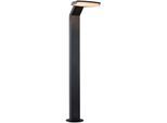 LED Gartenleuchte PAULMANN "Zenera 230V Pollerleuchte", grau (anthrazit), B:15cm H:67cm T:22,5cm, Leuchten, LED Gartenleuchte, insektenfreundlich