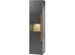 Vitrine HOME AFFAIRE "City/Giron, moderner Hochschrank, Glasvitrine", grau (anthrazit), B:50cm H:197cm T:40cm, FSC-zertifizierter Holzwerkstoff, Schränke, Vitrine, zeitlos, modern, ausreichend Stauraum, vielseitig einsetzbar