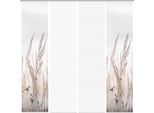 Schiebegardine VISION S "RELVA", beige (natur), B:60cm H:260cm, Polyester, Gardinen, Schiebegardine, DIGITALDRUCK