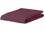 Spannbettlaken ESPRIT "SHEET", rot (dunkelrot), B:150cm L:200cm, Jersey-Elasthan, Obermaterial: 95% Baumwolle, 5% Elasthan, Bettlaken, Spannbettlaken, mit Gummizug