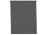 Seitenzugrollo SUNLINES "Young Style Blackout", grau (anthrazit, weiß), B:62cm H:180cm, Aluminium, Kunststoff, Polyester, Rollos, Seitenzugrollo