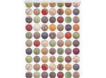Seitenzugrollo LICHTBLICK ORIGINAL "Klemmfix Motiv Gewürze" Gr. 6, bunt (bunt, weiß), B:100cm H:150cm, Polyester, Rollos, Seitenzugrollo, bedruckt