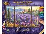 Malen nach Zahlen SCHIPPER "Meisterklasse Triptychon - Lavendelfelder", bunt, Malvorlagen, KinderB:20cm H:50cm, Malen nach Zahlen, Made in Germany, B:20cm H:50cm
