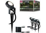 LED Gartenstrahler PAULMANN "Plug & Shine", grau (anthrazit), 3, 4 Stk., Leuchten, LED Gartenstrahler, LED-Modul, IP67, 3er Set