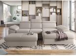 Ecksofa SIT & MORE "Cabrio L-Form, B: 295 cm, mit Sitztiefen-, Arm- & Kopfteilverstellung", grau (elephant), B:295cm H:87cm T:180cm, 100% Polyester, Sofas, Ecksofa, 2 Nierenkissen, Federkern, optional Bettfunktion und Stauraum