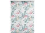 Seitenzugrollo LICHTBLICK ORIGINAL "Rollo Klemmfix, ohne Bohren, blickdicht, Flamingo - Rosa Grün", rosa (rosa, grün, weiß), B:80cm H:150cm, Polyester, Rollos, Seitenzugrollo
