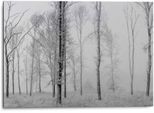Wandbild REINDERS "Aluminium Wandbild Still Natur - Schwarz-Weiss - Wald - Bäume", schwarz (farbe bild(er): schwarz, weiß), B:70cm H:50cm, Aluminium, Bilder, Wandbild