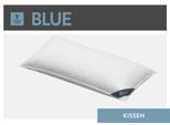 3-Kammer-Kopfkissen SPESSARTTRAUM "Blue", weiß, B:80cm L:80cm, Bezug: 100% Baumwolle. Füllung Außenkammer: 60% Daunen, 40% Federn. Füllung Innenkammer: 100% Federn, Kopfkissen, 3-Kammer-Kopfkissen, hergestellt in Deutschland, allergikerfreundlich