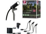 LED Gartenstrahler PAULMANN "Plug & Shine", grau (anthrazit), H:22cm T:8cm Ø:2cm, Leuchten, LED Gartenstrahler, LED-Modul, 3000K 24V Anthrazit