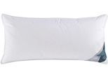 Federkissen HAEUSSLING "Kuscheltraum Kissen soft, 40x80 & 80x80 cm", weiß, B:40cm L:80cm, Bezug: 100% Baumwolle. Füllung: 70% Federn, 30% Daunen, Kopfkissen, Federkissen, Kopfkissen mit Milbenbarriere – geprüfter Schutz für Allergiker