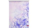 Seitenzugrollo LICHTBLICK ORIGINAL "Rollo Klemmfix, ohne Bohren, Verdunkelung, Hortensie - Lila", lila (lila, weiß), B:90cm H:150cm, Polyester, Rollos, Seitenzugrollo