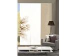 Schiebegardine HOME WOHNIDEEN "KESSI 3er SET" Gr. 1, beige (sand), B:60cm H:245cm, Polyester, Gardinen, Schiebegardine, Schiebevorhang Digidruck 3er Set KESSI