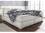 Boxspringbett HOME AFFAIRE "Chelles", beige (natur), B:207cm L:225cm, Samtoptik (100% Polyester);Bezug der Spiegelfläche Matratzendrell aus 100% Polyester;Struktur fein 100% Polyester), Komplettbetten, Boxspringbett, inkl. Kaltschaumtopper, in 5 Breiten und 3 Matratzenarten
