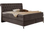 Boxspringbett JOCKENHÖFER GRUPPE "Scarlett mit einer hochwertigen 7-Zonen-Tonnentaschenfederkernmatratze", schwarz (schwarz 372, 06), B:192cm L:230cm, Bezug Bett: samtähnlich (100% Polyester);Topper und Matratzenspiegel: 100% Polyester, Komplettbetten, Boxspringbett, und einem 9cm Kaltschaum-Topper