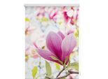 Seitenzugrollo LICHTBLICK ORIGINAL "Klemmfix Motiv Magnolie" Gr. 7, rosa (rosa, weiß), B:120cm H:150cm, Polyester, Rollos, Seitenzugrollo, bedruckt