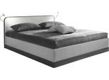 Bett, grau (weiß, neutral), B:170cm L:210cm, Bezug 100% Polyester/ Absetzung Kunstleder 100% PU- pflegeleicht, Polsterung: Polsterwatte, Material Gestell: gepolsterter Holzwerkstoff, WESTFALIA SCHLAFKOMFORT, Betten, Bett