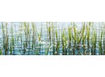 Küchenrückwand EXPRESS KÜCHEN "Seegras", bunt, B:180cm H:55,9cm, Holzwerkstoff, Spritzschutzwände, Küchenrückwand