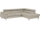 Ecksofa COTTA "Komaris L-Form, B: 249 cm", grau, B:249cm H:72cm T:100cm, Microfaser PRIMABELLE (100% Polyester);Kunstleder SOFTLUX;Feinstruktur (100% Polyester);Kunstleder SOFTLUX/Struktur (100% Polyester);NaturLEDER, Sofas, Ecksofa, mit Kopfteilverstellung, optional Bettfunktion, Bettkasten & Licht