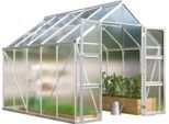 Gewächshaus VITAVIA "Domus 8300", silber (silberfarben), B:257cm H:253,9cm T:325cm, Gewächshäuser, Gewächshaus, mit Doppelschwingtüren und bodentiefer Türschwelle, 4 mm Hohlkammer