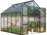 Gewächshaus VITAVIA "Domus 8300", schwarz, B:257cm H:253,9cm T:325cm, Gewächshäuser, Gewächshaus, mit Doppelschwingtüren und bodentiefer Türschwelle, 6 mm Hohlkammer