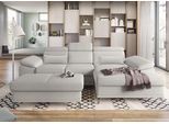 Ecksofa SIT & MORE "Cabrio L-Form, B: 295 cm, mit Sitztiefen-, Arm- & Kopfteilverstellung", grau (hellgrau), B:295cm H:87cm T:180cm, 100% Polyester, Sofas, Ecksofa, 2 Nierenkissen, Federkern, optional Bettfunktion und Stauraum