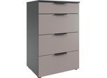 Schubkastenkommode WIMEX "Oxford by fresh to go, mit 4 Schubladen, MADE IN GERMANY", grau (grafit, saharagrau), B:54cm H:84cm T:41cm, Holzwerkstoff, Sideboards, Schubkastenkommode, Mit Soft-close Beschlägen, in verschiedenen Farben erhältlich