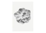 Bild KOMAR "Succulent Aeonium", bunt (farbe bild(er): bunt), B:30cm H:40cm, Holz, Papier, Bilder, Bild, Wandbild zur Dekoration - ohne Rahmen