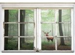 Leinwandbild QUEENCE "Wald", beige (farbe bild(er): natur), B:40cm H:60cm, Canvas, Holzrahmen, Bilder, Leinwandbild, Premium-Leinwandstoff
