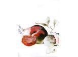 Bild KOMAR "Dessert Fruité", rot (farbe bild(er): rot), B:50cm H:70cm, Holz, Papier, Bilder, Bild, Wandbild zur Dekoration - ohne Rahmen