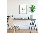 Bild QUEENCE "Pteridophyta", grün (farbe rahmen: schwarz, farbe bild(er): grün), B:40cm H:50cm, Acrylglas, Holz, Papier, Bilder, Bild, HD Premium Poster-Druck inkl. Holzrahmen