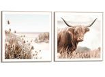 Wandbild REINDERS "Freie Natur Highlander - Kuh - Heide - Strand - Ruhe", grün (farbe bild(er): khaki), B:50cm H:50cm, Holzwerkstoff, Bilder, Wandbild