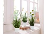 Kunstgras OTTO HOME "Grasbusch, naturgetreue Kunstpflanze, 35cm hoch", grün (grün, weiß), H:35cm Ø:7,5cm, Kunststoff, Kunstpflanzen, Kunstgras, im 3 teiligen Set, mit Übertopf wahlweise in schwarz oder weiß