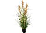 Kunstgras CREATIV GREEN "Grasbusch Rispenhirse", grün, H:92cm Ø:25cm, Kunststoff, Kunstpflanzen, Kunstgras