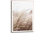 Kunstdruck REINDERS "Gras", beige (farbe bild(er): beige), B:50cm H:70cm T:1,6cm, MDF, Bilder, Kunstdruck