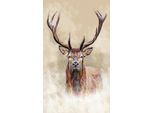 Wandbild REINDERS "Hirsch", braun (farbe bild(er): natur, braun), B:70cm H:118cm, Hartfaserplatte, MDF, Bilder, Wandbild