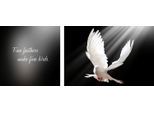 Leinwandbild QUEENCE "Birds", bunt (farbe bild(er): bunt), B:100cm H:40cm T:2cm, Canvas, Holzrahmen, Bilder, Leinwandbild, Premium-Leinwandstoff, Handarbeit aus Deutschland, Spruch, 2er Set