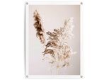 Poster REINDERS "Pampasgras", beige (farbe bild(er): beige), B:60cm H:80cm T:0,1cm, Leinwand, Bilder, Poster, Outdoor für Garten oder Balkon