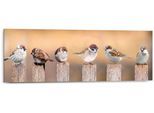 Holzbild REINDERS "Deco Panel 30x90 Bird Family", braun (farbe bild(er): braun), B:90cm H:30cm T:2cm, MDF, Bilder, Holzbild
