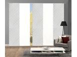 Schiebegardine HOME WOHNIDEEN "MARPENT 5er SET" Gr. 1, grau, B:60cm H:245cm, Polyester, Gardinen, Schiebegardine, Schiebevorhang Digidruck 5er Set MARPENT