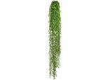 Kunstranke CREATIV GREEN "Ruscushänger", grün, B:16cm H:160cm, Kunststoff, Kunstpflanzen, Kunstranke
