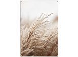 Poster REINDERS "Gras", beige (farbe bild(er): beige), B:80cm H:120cm T:0,1cm, Leinwand, Bilder, Poster, leichtes und wasserfestes Gartenposter für den Außeneinsatz