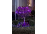 KONSTSMIDE LED-Lichterkette "Weihnachtsdeko aussen", schwarz, Dioden 80 Stk. Flammen 80 Stk., Gesamtlänge 11,32m, Lichterketten, LED Globelichterkette, runde Dioden, mit rot/blau Farbwechsel, LED-Lichterkette